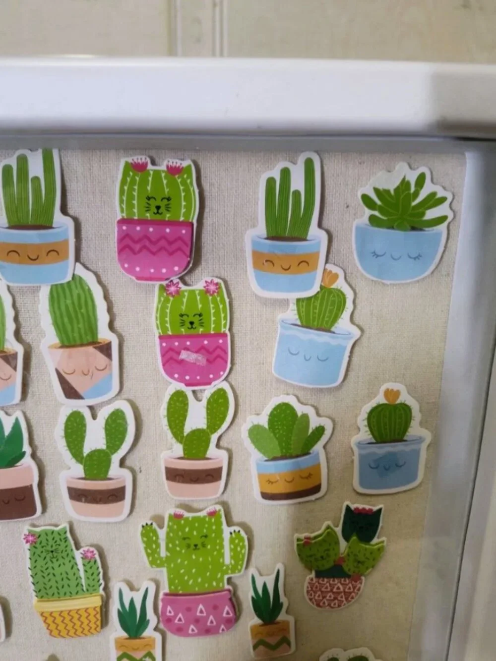 White Wooden Shadow Box Frame With Cats and Succulents Removable Stickers
